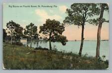 Big Bayou on 4th Street ST. PETERSBURG Florida~Rare Antique Postcard 1914 picture