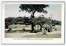 c1910's In The Shade Of Old Apple Tree Canobie Lake Park Salem NH Postcard picture