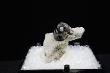 Bixbyite on Hematite ps. Garnet / Thumbnail Mineral Specimen / Maynard's Claim, picture