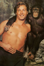 LEX BARKER COLOR WITH CHIMP AS TARZAN 24X36 POSTER PRINT picture