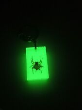 Real Spiny Spider Male Macracantha Hasselti Glow in the Dark Keyring Key Finder picture