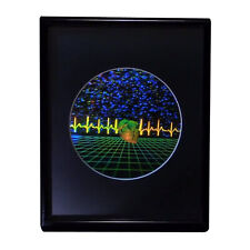 Heart w/ Heartline & Grid Large 3D Collectible Hologram Picture EMBOSSED Matted picture