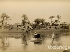 Arab Village Bedouin Nile River Egypt Sphinx Pharaoh 1880 Photo Ottoman Era picture