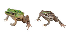 Bandai Diversity of Life on Earth Pelophylax Nigromaculatus Figure Green & Taupe picture