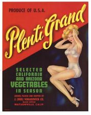 PLENTI GRAND Vintage Vegetable Crate Label, Pinup Girl Risqué, AN ORIGINAL LABEL picture