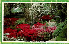Tyler, Texas, East Texas, Rose Festival, Azalea Trails, beautiful Postcard picture