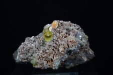 Apatite / Fine Mineral Specimen / Cerro de Mercado, Mexico picture
