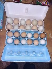 Fresh Eggs. From free range hens.  picture