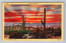 A Desert Silhouette At Sunset Vintage Souvenir Postcard picture