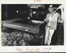 1988 Press Photo Zapp's Potato Chips Employee Anthony Coleman, Gramercy picture