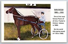 Oxford Indiana~Dan Patch Pacer With Horse~Vintage Postcard picture