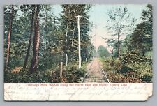 North East & Ripley PA Trolley Line—Rare Antique Railroad UDB Erie County 1910 picture