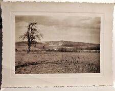 Vintage Old 1930's Simple Landscape Photo of Dead Tree & Rolling Hills LETT Co. picture