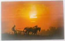 Vintage Iowa IA Iowa's Amish Counties Man At Sunset with Team of Horses picture