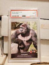 Harambe 2016 Leaf Live #8 PSA 9 Gorilla Cincinnati Zoo Print 243 B picture