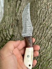 8” HANDMADE DAMASCUS STEEL HUNTING SKINNING FIXED BLADE KNIFE SURVIVAL picture