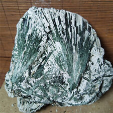 8.04LB Natural rough Green Kyanite Crystal Mineral Spray cluster From Brazil picture