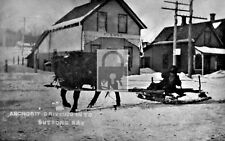 Street View Snow Sled Suttons Bay Michigan MI Reprint Postcard picture