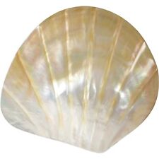 Mother of Pearl Shell Carved 5