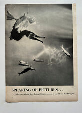 Image Photo Fish Catching Cormorant Birds 1953 Life Magazine picture