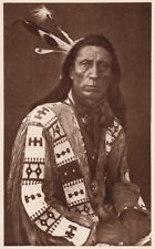 THE VANISHING RACE - CHIEF RED CLOUD - VINTAGE 1914 PHOTOGRAVURE picture