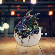 Dragon Baby in Egg Statue 4