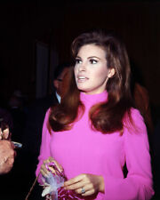 Raquel Welch candid pose 1967 in purple dress meeting press 8x10 photo picture