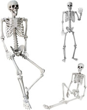 5.4Ft/165Cm Halloween Skeleton Full Body Life Size Human Bones with Movable Join picture