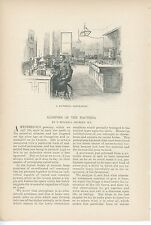 1891 Glimpses of Bacteria Article Early Science Medicine Study Culture Tubes picture