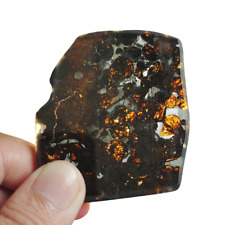 30.7G SERICHO pallasite Meteorite slice - from Kenya QA284 picture