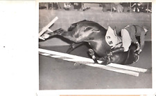 1952 Press Photo - NEIGH O' SHEA - KILCARNE  -  HORSE RACE RACING picture