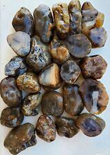 25 Lbs Better Cabbing Grade Montana Yellowstone River Agate Stone Nodules picture