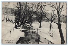 1910 Fox Run Bridge River Lake Snow Cold Homer New York Vintage Antique Postcard picture