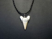 Black Braided off white tan OTODUS Great REAL LG Fossil Shark Tooth Necklace picture