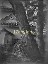 IK 11/12x8 cm JAPAN-Glass Plate Negative-JAPANESE PATH TO HOUSE TREES SHRUBS picture