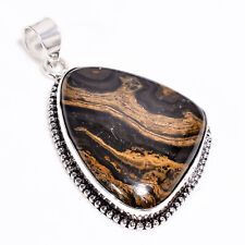 Stromatolite picture