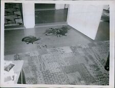 1947 Rene Cote Blood Evidence Murdered Home Wife Bertha Accused Court 7X9 Photo picture