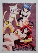 High School DxD New / Senran Kagura Dual Sided Anime Page Poster picture