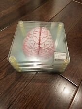 Anatomic Brain Specimen Coasters Set of 10 pieces without box picture