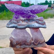 443GNatural Dream Amethyst Crystal Handcarved Dolphin Therapy picture