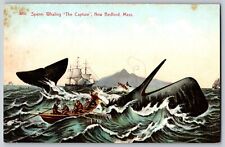 New Bedford, Massachusetts MA - The Capture Of Sperm Whaling - Vintage Postcard picture