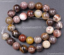Natural Gemstone Petrified Wood Silicified Quartz Crystal Round Healing Beads picture
