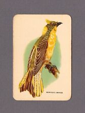 Vintage Woolworths Swap Card / Newtons Bower Bird Cream Coloured Blank Back picture