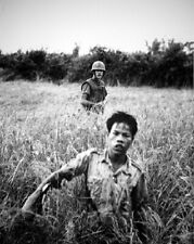 US Marine with Viet Cong POW 8x10 Vietnam War Photo 52 picture