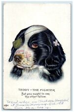 1918 Injured Dog Teddy The Fighter Omaha Nebraska NE Posted Antique Postcard picture