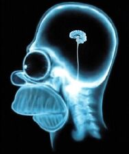Homer Simpson X Ray MRI Brain Scan The Simpsons RARE picture