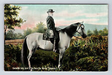 TUCK's General Lee and Favorite Horse Traveler Postcard picture
