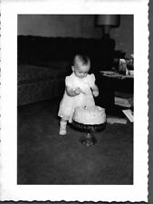 VINTAGE PHOTOGRAPH 1954 SMALL GIRLS FASHION HUGE BIRTHDAY CAKE INDIANA OLD PHOTO picture