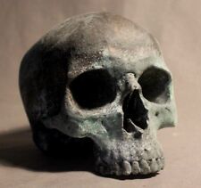 Human Skull Anatomical Medical Death Oddity Theater Doctor Funeral Postmortem picture