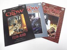 The Crow Flesh and Blood  1 2 3 Complete Series Kitchen Sink Comics picture
